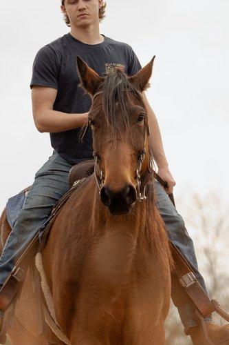 mobile - carousel-hero-element image-7