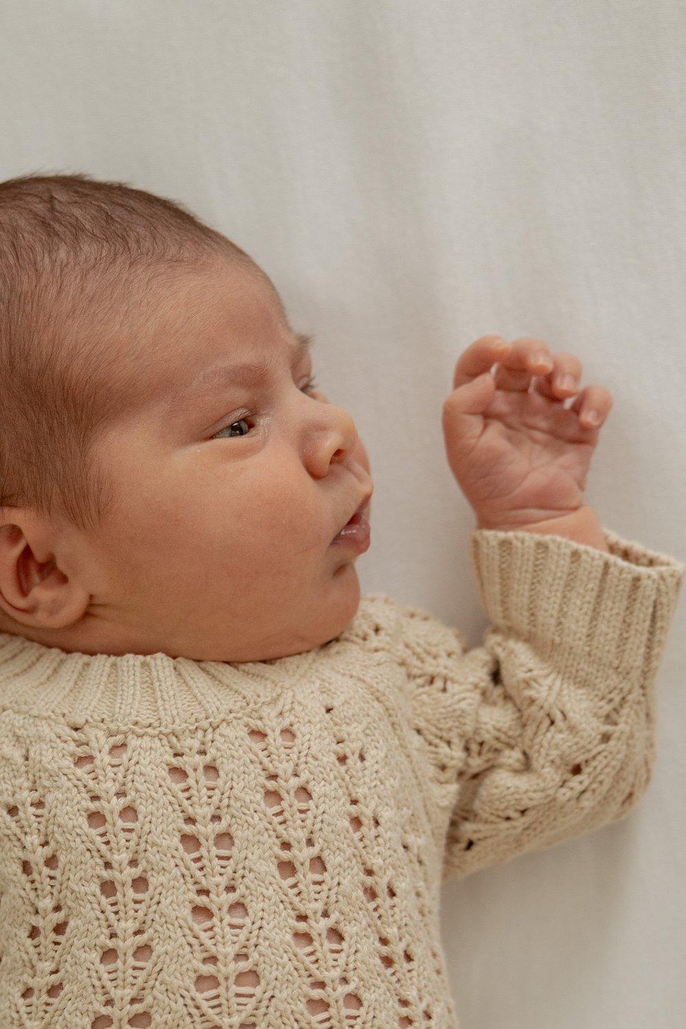 carousel-hero-element image-6